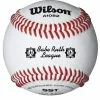 WILSON SPORTING GOODS Wilson A1082BSST SST Babe Ruth Baseball (Dozen)