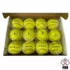 RECKEN SCOPE 12 Inch Leather Softball (Dozen)