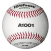 WILSON SPORTING GOODS Wilson A1001BFS Collegiate Baseball (Dozen): WTA1001BFS