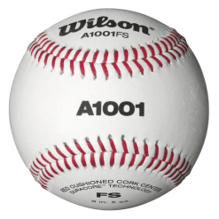 WILSON SPORTING GOODS Wilson A1001BFS Collegiate Baseball (Dozen): WTA1001BFS