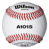 WILSON SPORTING GOODS Wilson A1015 NFHS Baseball (Dozen): WTA1015BSST