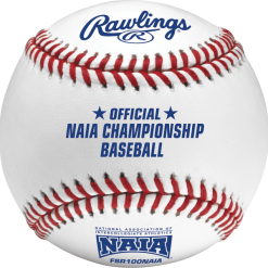 Rawlings R100 NAIA Baseballs FLAT SEAMS (Dozen): FSR100NAIA