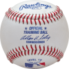 Rawlings Training Baseball Level 10 (Dozen): ROTB10