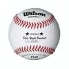 WILSON SPORTING GOODS Wilson A1062BDY1 Dixie Youth Baseball (Dozen)