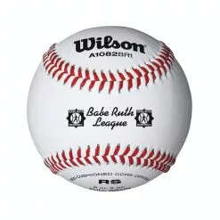 WILSON SPORTING GOODS Wilson A1082BR1 Babe Ruth Baseball (Dozen)